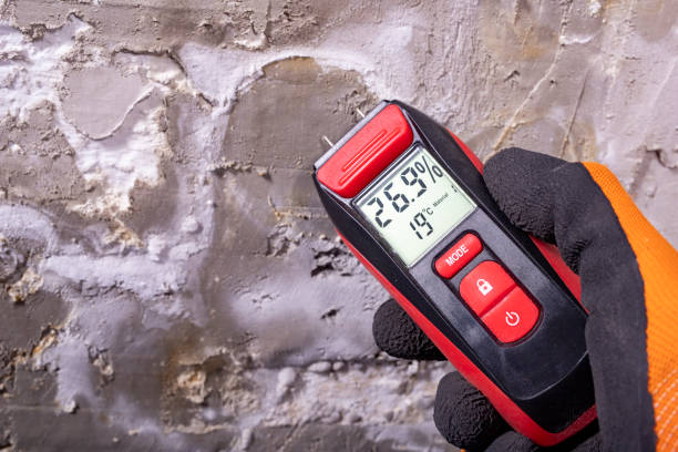 Best Commercial Mold Removal  in Statham, GA