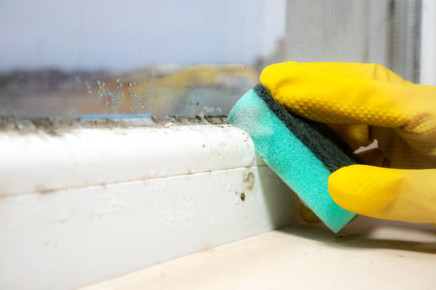 Best Toxic Mold Removal  in Statham, GA
