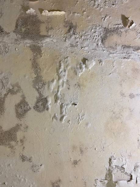 Best Mold Testing  in Statham, GA
